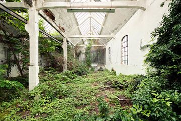 Halle abandonnée avec des plantes sur Times of Impermanence