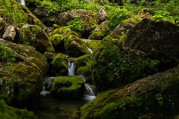 Mountain stream in the Alps by Alexander Ließ