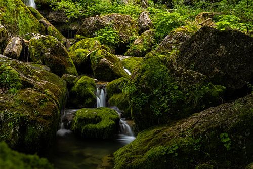 Mountain stream in the Alps