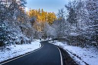 Road to the sun