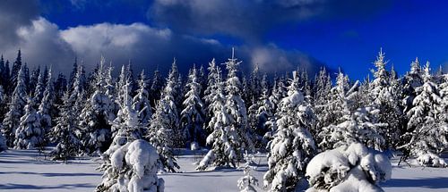 De top van de met sneeuw bedekte berg