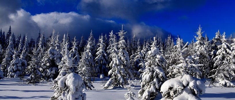 The top of the snow-capped mountain by Claude Laprise
