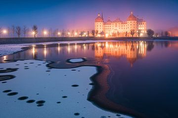 Winterdroom in Moritzburg van Martin Wasilewski