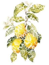 Fruits Artistiques I sur Marja van den Hurk