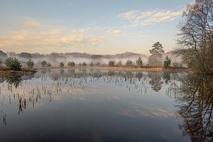 Mistige zonsopkomst bij een water op de heide sur John van de Gazelle