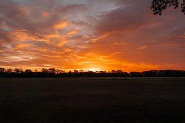 Magische Morgen in de Coulissen: Zonsopgang boven de Achterhoek van Heleen. Visual Storytelling