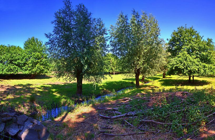 Panorama de Bach par Edgar Schermaul