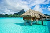 Thatched roof honeymoon bungalow on Bora Bora by iPics Photography thumbnail
