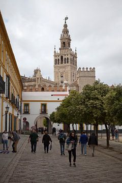 Catedral de Sevilla, vanuit Santa Cruz van Kees van Dun