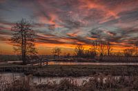 vlammende zonsondergang