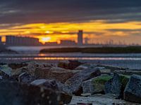 De Westerschelde