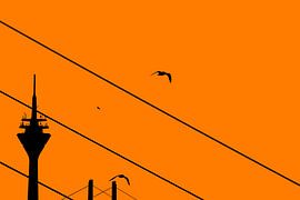 Rijntoren Düsseldorf Silhouet Oranje van Die Farbenfluesterin