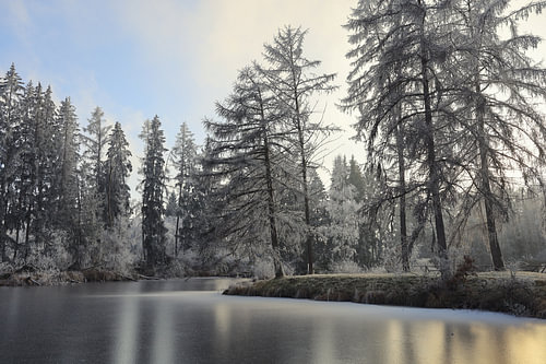 Bosvijver in de winter bij Mühlingen in het district Konstanz