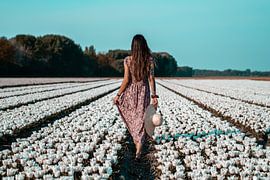 Walk in the flower fields by Yorick Leusink