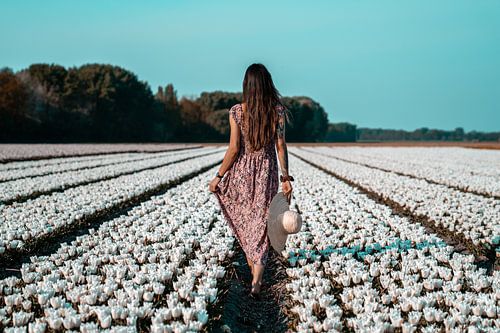 Promenade dans les champs de fleurs.