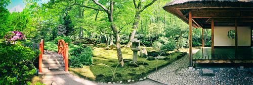 natuur park, Den Haag 