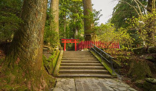 Hakone - Lake Ashi - Hakone Shrine (Japan)