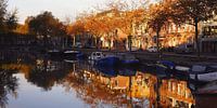 Wiitevrouwensingel in herfstkleuren