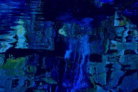 FISCHSCHWIMMEN 1 von Miroslav Ptacek