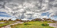 Rotsmuur bij Gurteen Bay, Ierland van Hans Kwaspen thumbnail