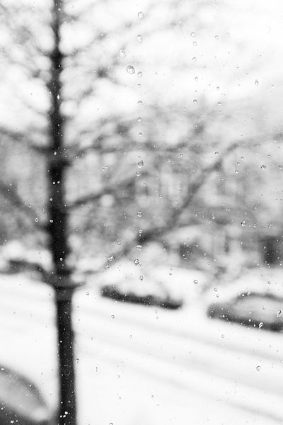 Winter drops by Jim Plaum