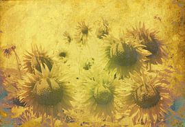 Inner Sunshine by Dorothy Berry-Lound