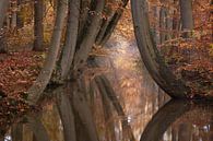 Herfst Spiegeling van Vincent Croce thumbnail