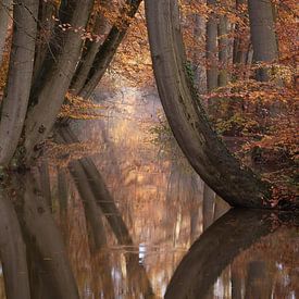 Autumn Reflection by Vincent Croce