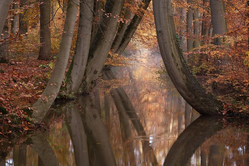 Herfst Spiegeling van Vincent Croce