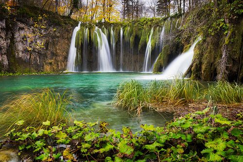 Plaisir de la nature sur Daniela Beyer