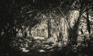 Barn in the Woods - Blair Witch Project - Lonely Clowns in the Horror House van Jakob Baranowski - Photography - Video - Photoshop
