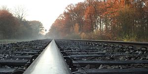 Right on Track