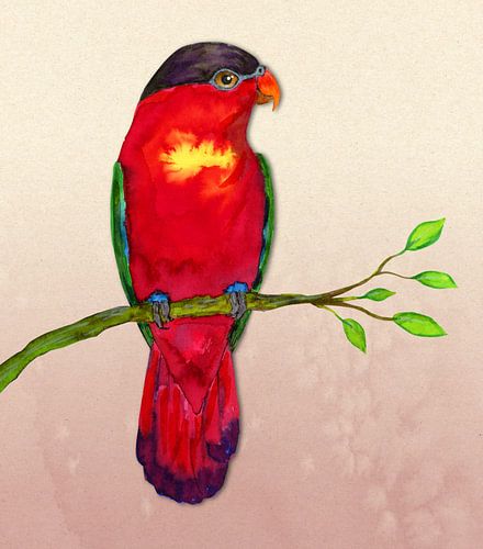 Purple naped lory Watercolor