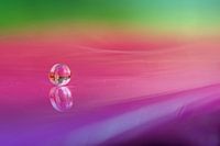 Kleuren als een regenboog 