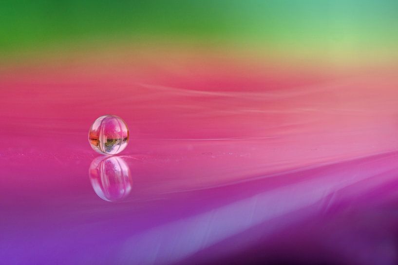 Kleuren als een regenboog  van Cocky Anderson
