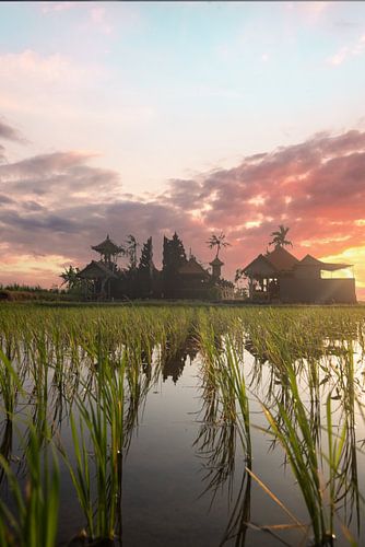 Zonsopgang boven een hindoetempel op Bali