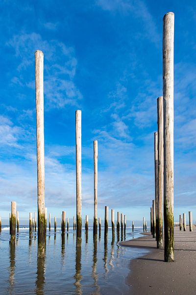 Palendorp near Petten by Wim Stolwerk