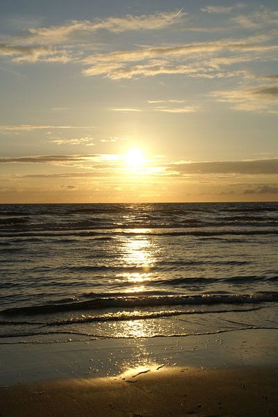 Gouden gloed von Lotte Veldt