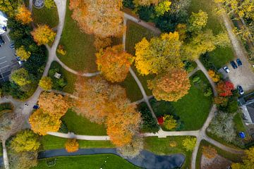 Vue aérienne du parc de la ville de Zwolle lors d'une belle journée d'automne sur Sjoerd van der Wal Photographie