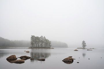 Zweeds meer in de mist van Floris Verweij