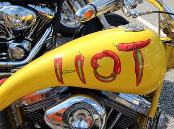 Harley-Davidson