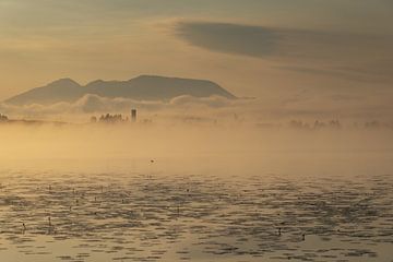 Zonsopgang, Hopfenmeer, bij Füssen, Ostallgäu van Walter G. Allgöwer