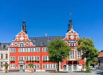 Stadhuis Arnstadt in Thüringen van Animaflora PicsStock