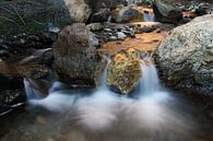 Rio Torrente von Cornelis (Cees) Cornelissen Miniaturansicht