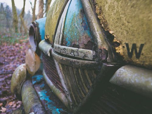 Borgward Hansa Oldtimer in het bos