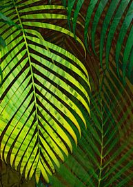 TROPICAL GREENERY LEAVES no10