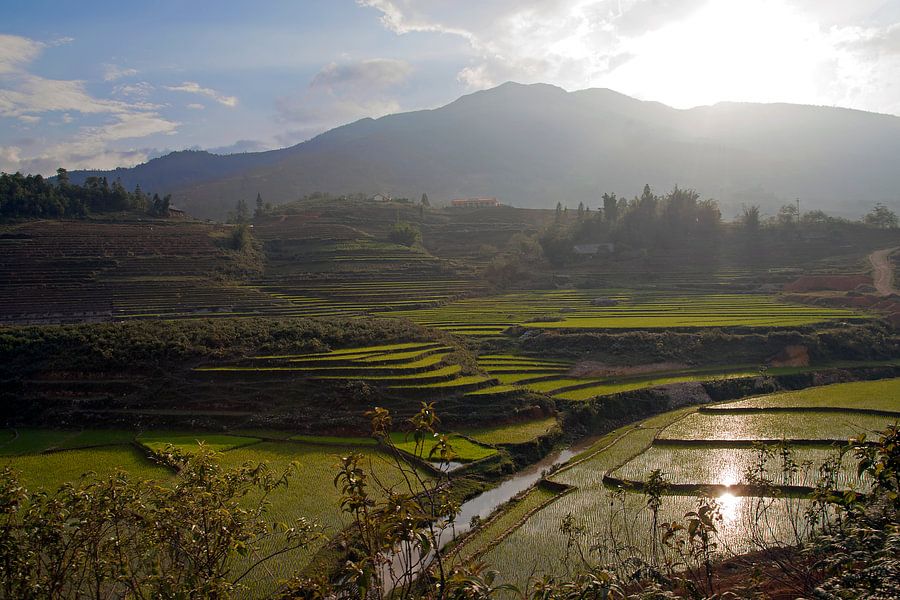 Sapa Vietnam van b Arthouse Fotografie op canvas, behang en meer