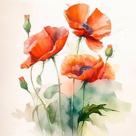 Rote Mohnblumen von Jutta Maria Pusl