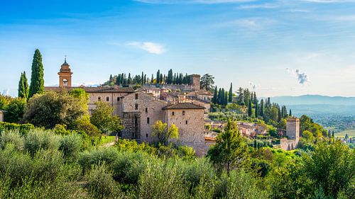 Het middeleeuwse dorp Spello en olijfbomen. Umbrië, Italië.