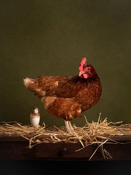 Das Huhn mit den goldenen Eiern (1) von Mariska Vereijken